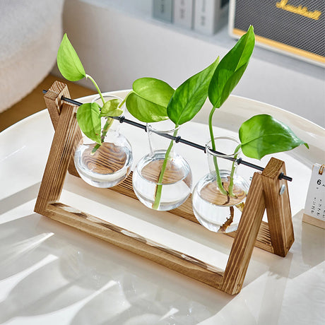 Modern 3pcs Bulb Glass Terrariums with Wood Stand Set