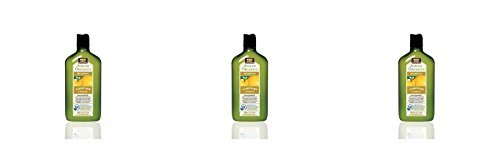 (3 PACK) - Avalon Lemon Clarifying Shampoo | 325ml | 3 PACK - SUPER SAVER - SAVE MONEY