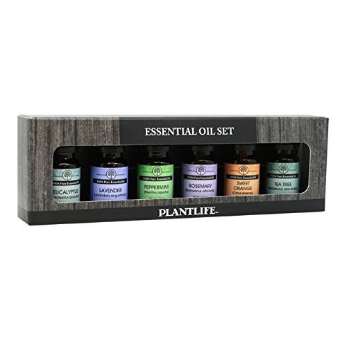 100% Pure Essential Oil Basic Sampler Set 6/10 ml (Lavender, Tea Tree, Peppermint, Eucalyptus, Rosemary and Sweet Orange)