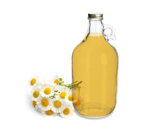 100% Organic Chamomile Medicinal Oil - Bulk, Raw, Herbal Oil - Sore, Inflamed, Irritated, Dry, Itchy Skin. Soothing, Calming. Minor cuts, Burns. Excel