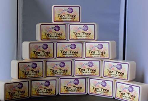 15 Pack Tea Tree Goats Milk & Shea Butter Soap