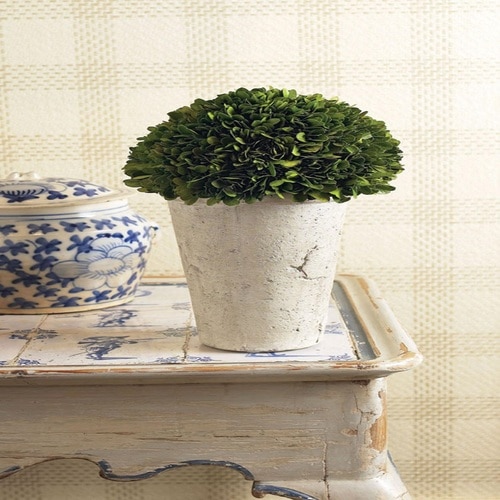 12.25” Alabaster White Preserved Boxwood three Quarter Ball Distressed Ceramic Pot - 32603480