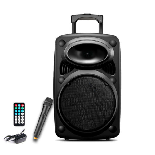 1500W Pro 12 inch Pro Series DJ Speaker PA System, Built-in USB & SD Card Support Radio, Battery Rechargeable, W/ Remote Control