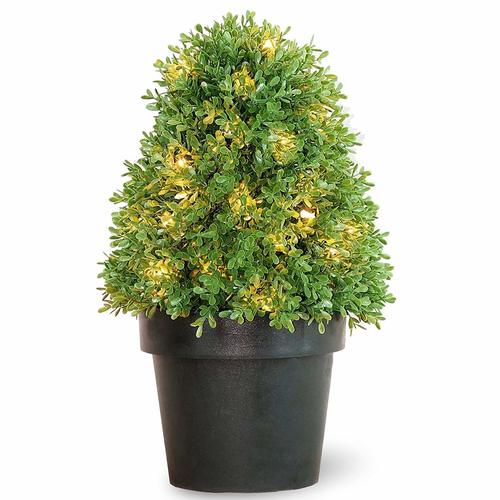 1.5 x 15" Pre-lit Potted Artificial Boxwood Tree - Clear Lights - 31377144