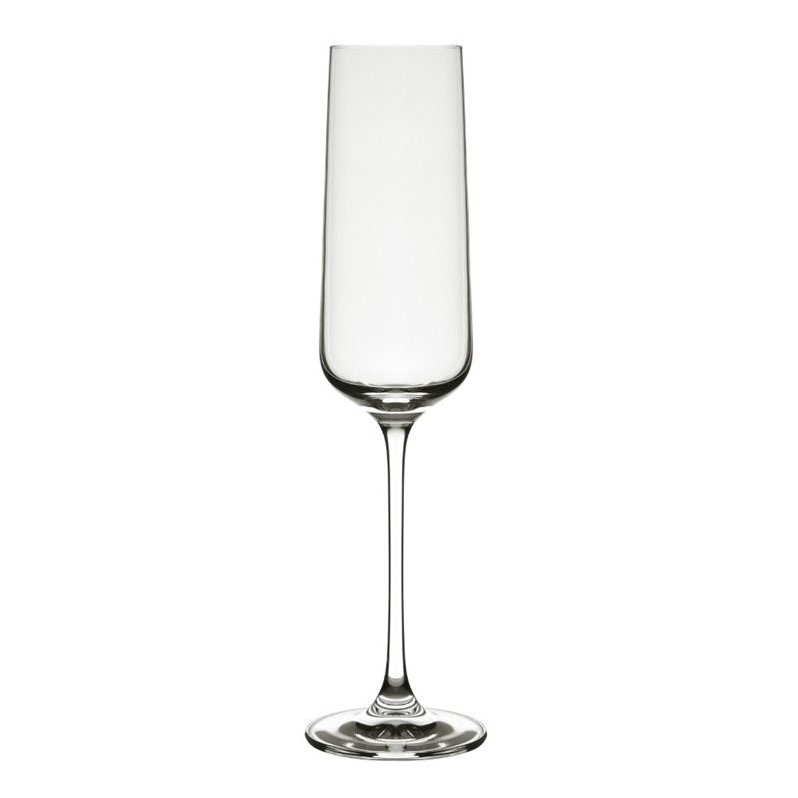 10 Strawberry Street Hong Kong Hip Champagne Glass (Set of 6)