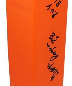 B08SKXMPLQ George Rogers Signed Orange Endzone Pylon w/ROY'81 - Schwartz Authentic
