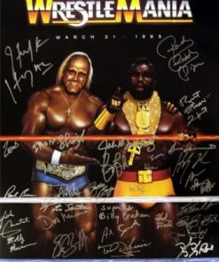 B00AB621ZU Hulk Hogan Cast Signed WRESTLEMANIA Poster
