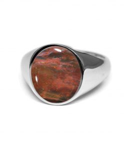 B08X6W72DB Natural Bloodstone Ring, Mens Signet Ring Silver, Statement Pinky Ring for Men,925 Sterling Silver Wedding Men's Ring, Engagement Gift Band Ring, US 4 to 14