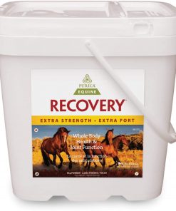 B0043EAE9Q Recovery Eq Ex Strength (W/Ha) - 11 Lb