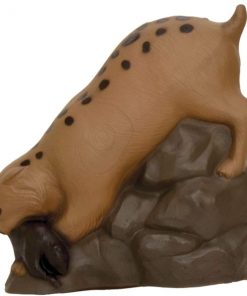 B007P2KOIE Delta McKenzie Bobcat 3D Target