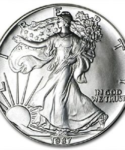 B0088YVHK2 1987 American Silver Eagle .999 Fine Silver Dollar Uncirculated US Mint with Our Certificate of Authenticity