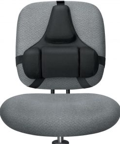 B001VGCJFG Fellowes FEL8037601 Professional Series Back Support Memory Foam Cushion, Black
