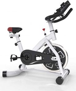 B08TLZT75Y Haieshop Exercise Bike Magnetically Controlled Ultra Quiet Household Exercise Bike Indoor Sports Bike Fitness Equipment for Arm and Leg (Color : White)