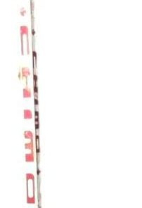 B08V1GZRJV Scott Niedermayer HOF Anaheim Ducks Signed/Auto Chimo Hockey Stick JSA 157198