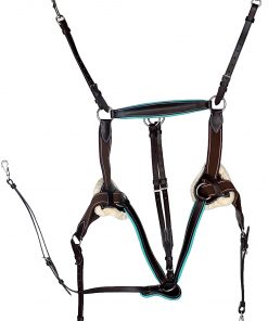 B08SJ67D7Z Leather Pony Size 5 Point Elastic Breastplate and Running Attachment with Color Trim (Brown with Teal)