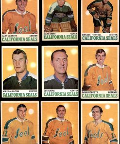 B08WHKWS1J 1970-71 O-Pee-Chee California Golden Seals Team Set California Golden Seals (Set) VG/EX+ Golden Seals