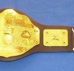 B008PJUQIE Shawn Michaels Signed Toy WWE World Championship Belt PSA/DNA COA HBK Autograph - Autographed Wrestling Robes, Trunks and Belts
